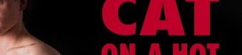 CATnposter.indd