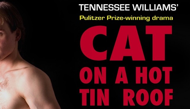 CATnposter.indd