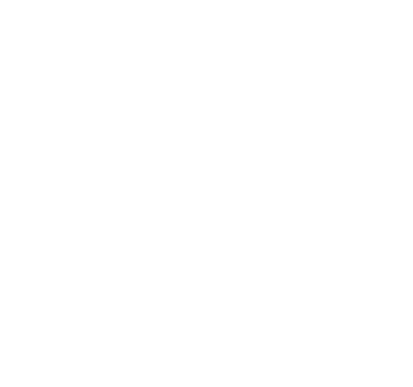 National Endowment Arts